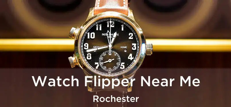 Watch Flipper Near Me Rochester